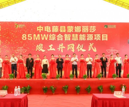 廣西最大工商業(yè)屋頂光伏項目在蒙娜麗莎正式并網(wǎng)啟用！